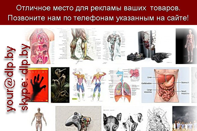 Запрос: «анатомия человека в картинках», рубрика: Медицина