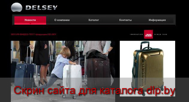 Провоз багажа авиатранспортом - delsey.by
