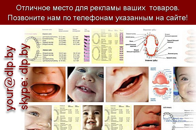 Запрос: «прорезывание зубов», рубрика: Медицина