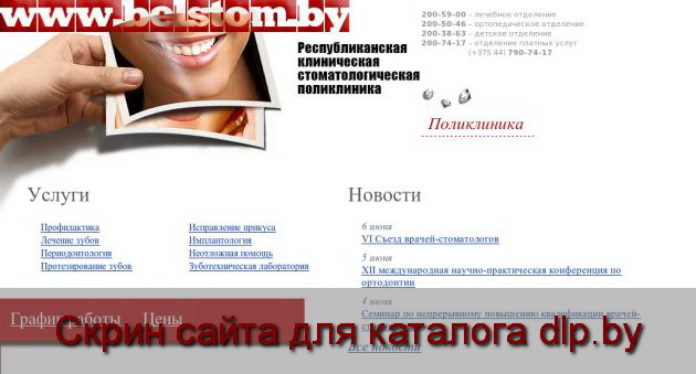 Скрин сайта - www.belstom.by  для dlp.by